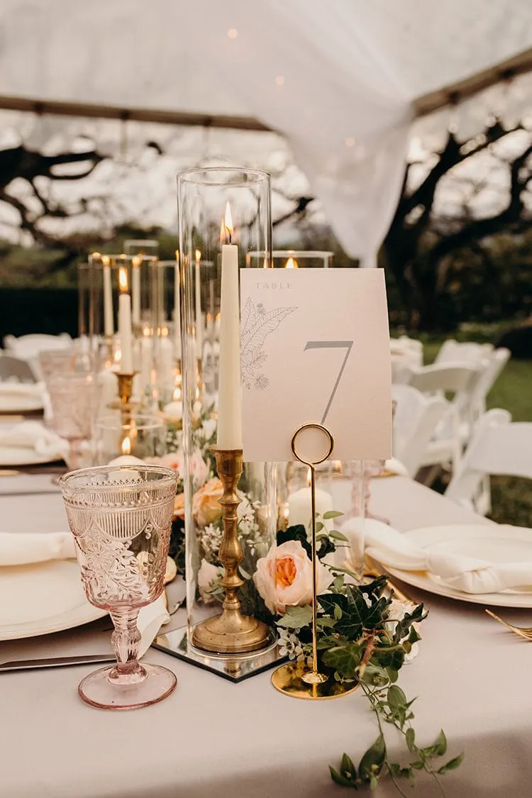 Tropical Moon Events — photo 4