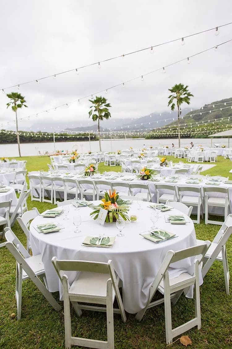 Iolana Events — photo 2
