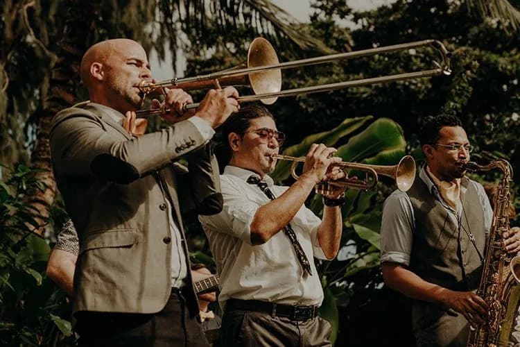 Live Musicians