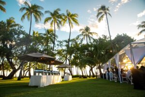 Catered Wedding reception in a tropical setting with coconut trees during golden hour