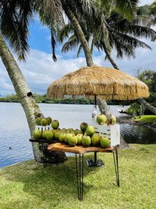 Coconut bar at Hawaii wedding
