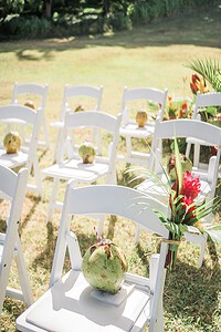 coconuts on wedding chairs