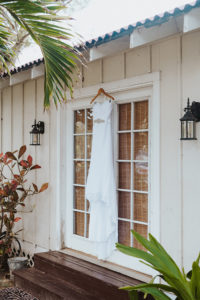 Bridal Gown hanging by a window surrounded by tropical plants shot by Rachel Kathryn