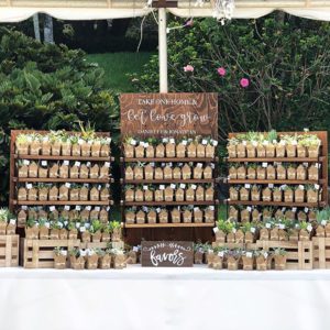 Wall of Plants as Party Favors at a Wedding by Forrest Lauren