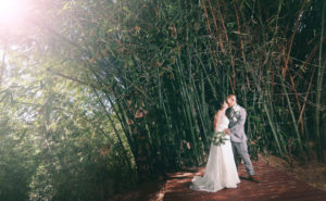 A wedding couple kissing in the middle of a bamboo forest at Hawaii Vista Wedding