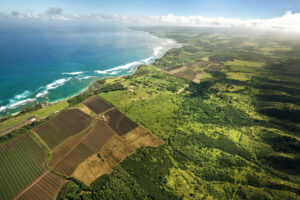 Aerial shot of Dillingham Ranch showcasing the ocean and lushness of Hawaii