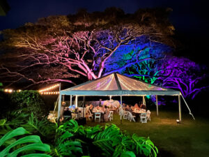 A wedding reception tent illuminated at night surrounded by nature set up by Hawaii Events Unlimited